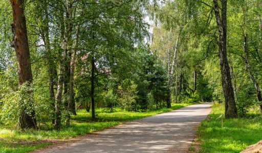 Участок в КП Озерна Резиденс