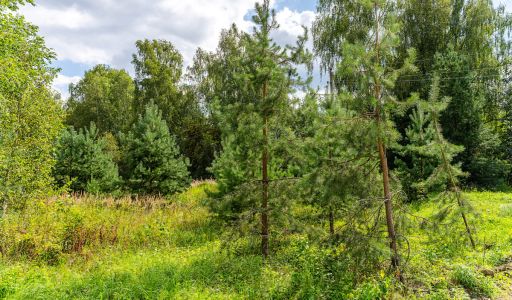 Участок в КП Озерна Резиденс