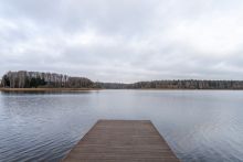 Среди своих