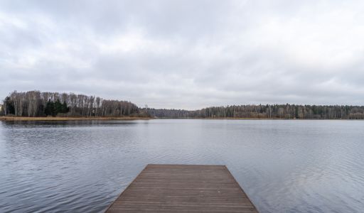 Среди своих