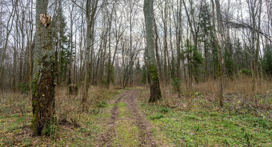 Среди своих