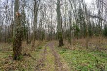 Среди своих