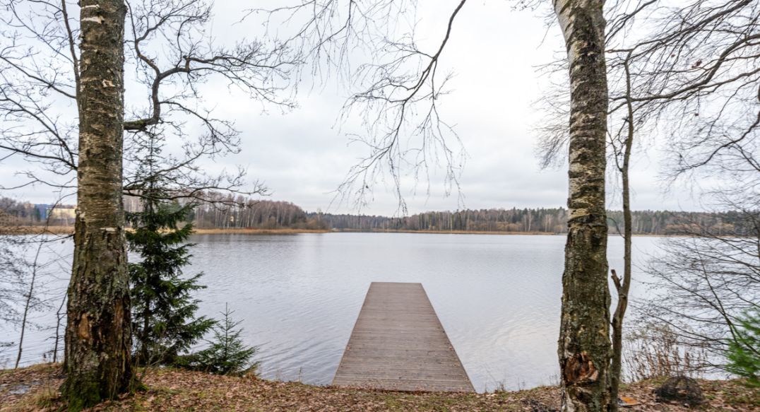 Среди своих