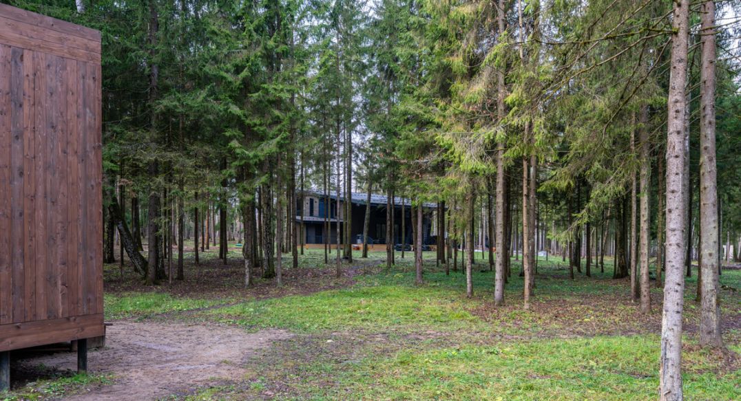 Среди своих