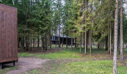 Среди своих