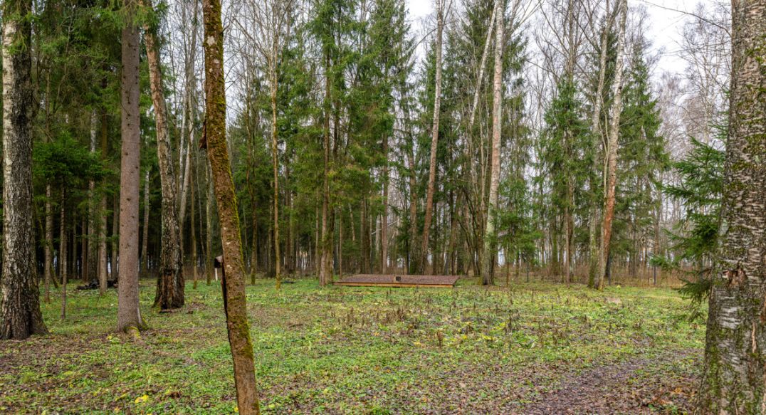 Среди своих