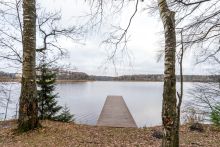 Участок в лесу КП Среди Своих