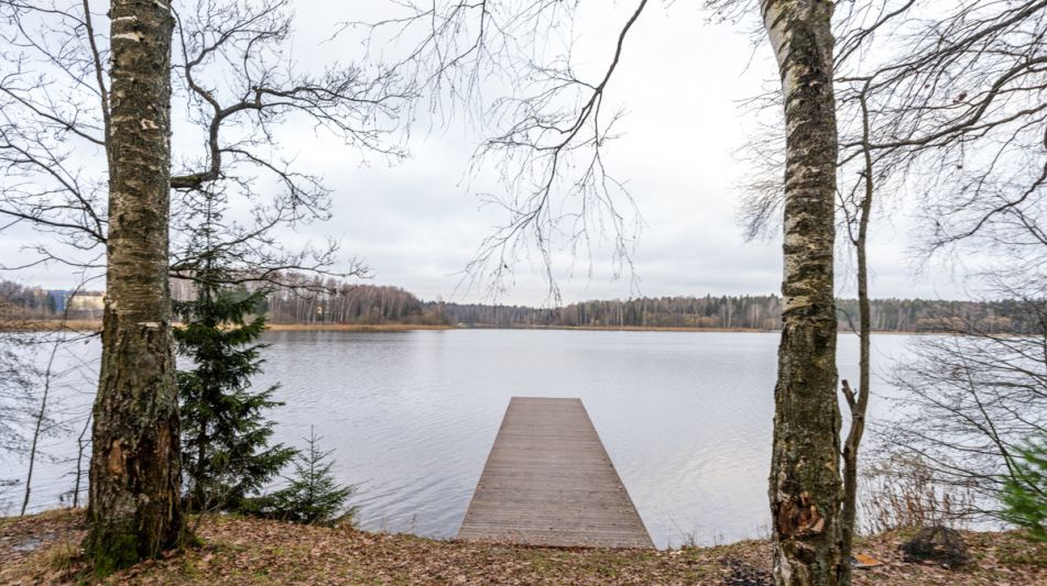 Участок в лесу КП Среди Своих