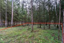 Участок в лесу КП Среди Своих