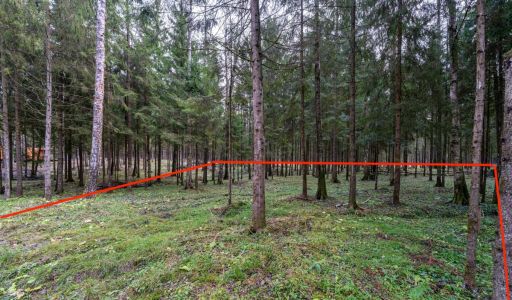 Участок в лесу КП Среди Своих