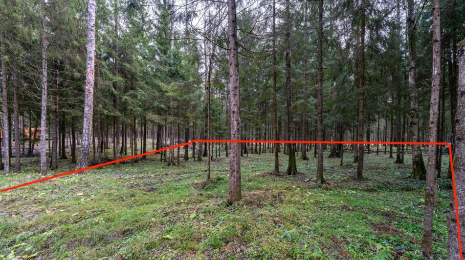 Участок в лесу КП Среди Своих