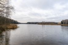 Участок в лесу КП Среди Своих