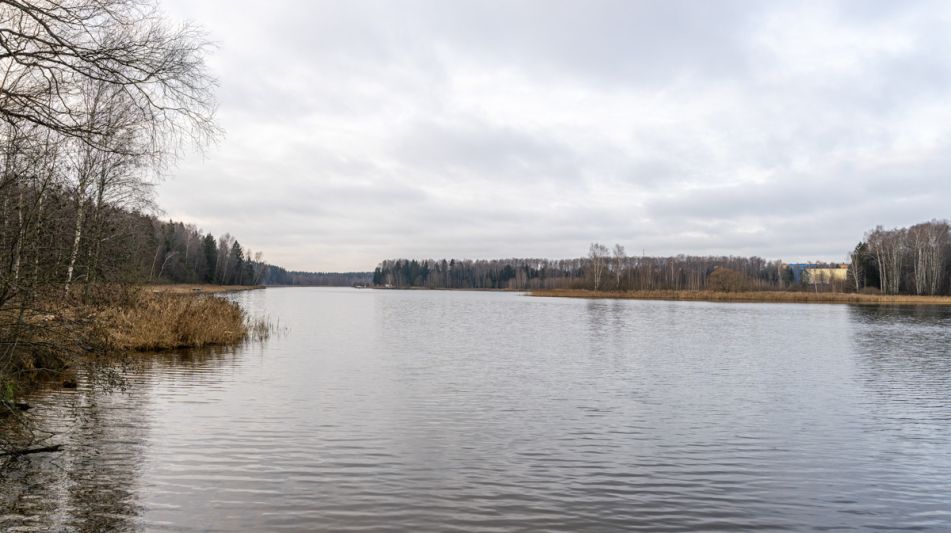 Участок в лесу КП Среди Своих