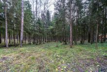 Участок в лесу КП Среди Своих