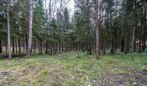 Участок в лесу КП Среди Своих