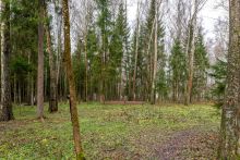 Участок в лесу КП Среди Своих