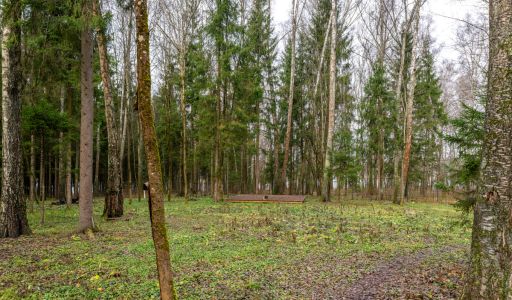 Участок в лесу КП Среди Своих