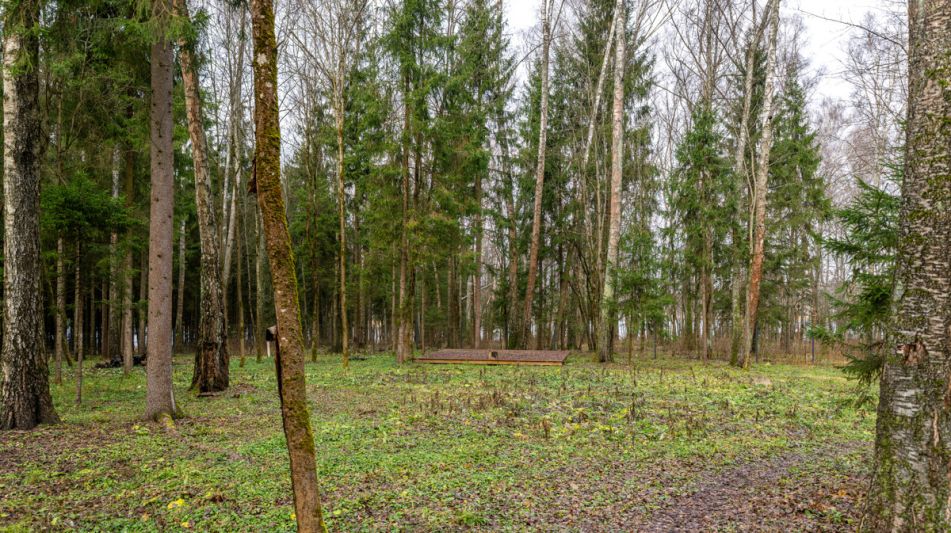 Участок в лесу КП Среди Своих