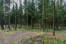 Участок в лесу КП Среди Своих