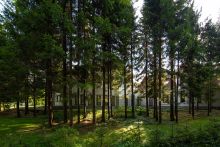 Усадьба в поселке Аксаково