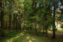 Усадьба в поселке Аксаково