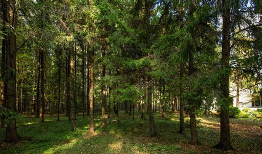 Усадьба в поселке Аксаково