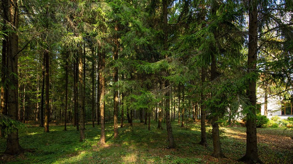 Усадьба в поселке Аксаково