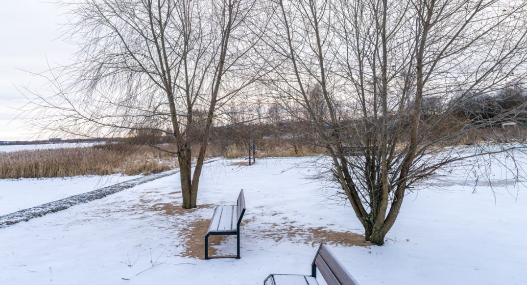 Рузские дачи