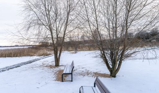 Рузские дачи