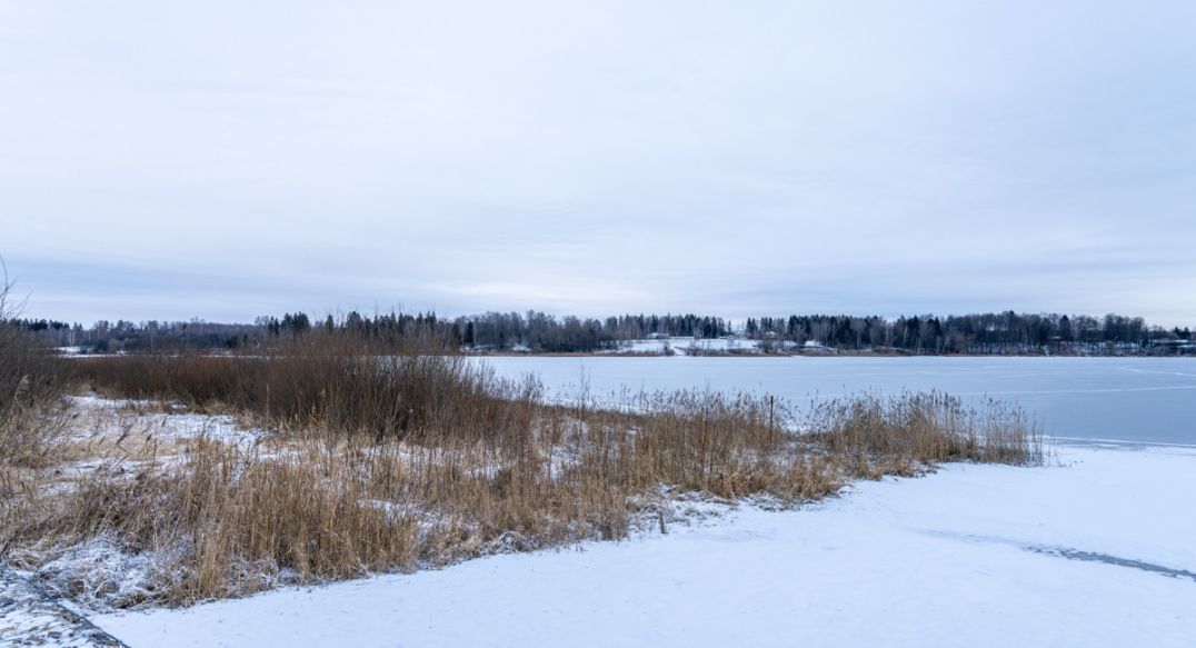 Рузские дачи