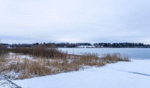 Рузские дачи