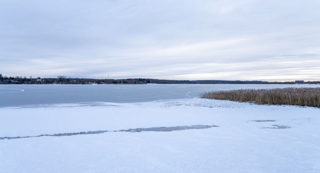 Рузские дачи
