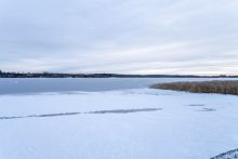 Рузские дачи