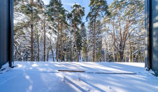 Дом в Усадьбе Подушкинского парка