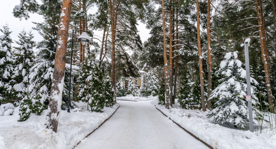 Алексеево Парк