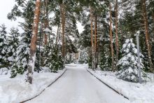Алексеево Парк
