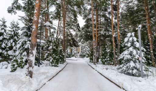 Алексеево Парк