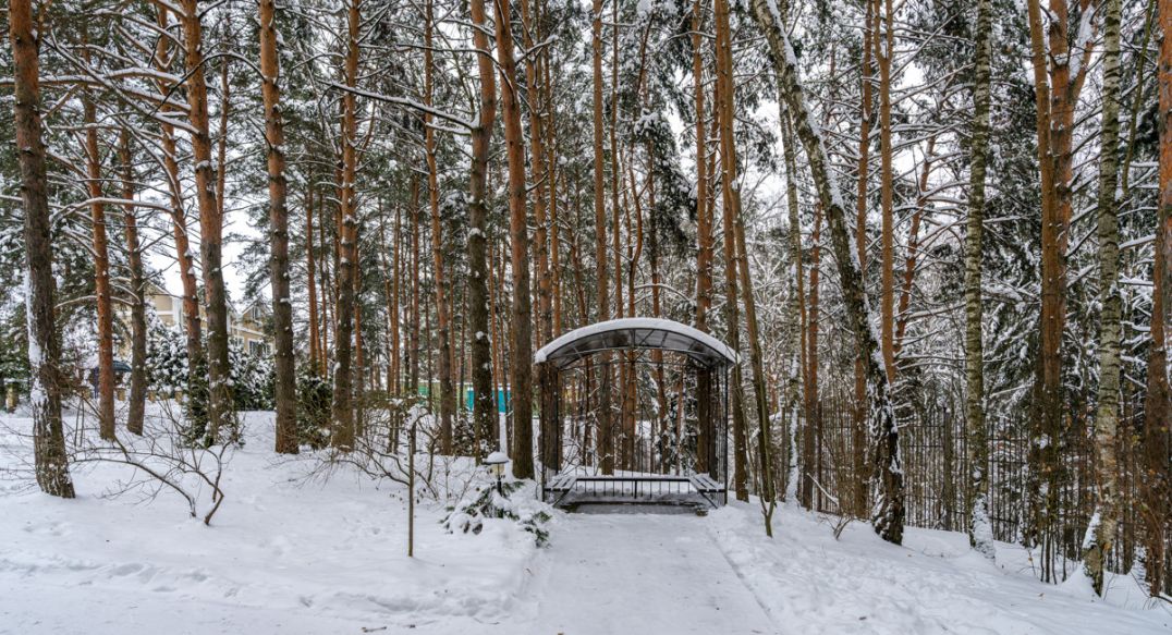 Алексеево Парк