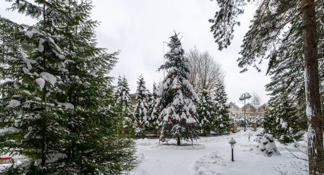 Алексеево Парк