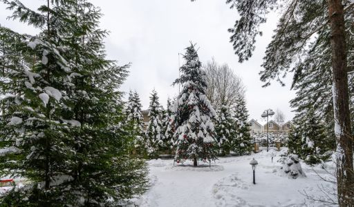 Алексеево Парк
