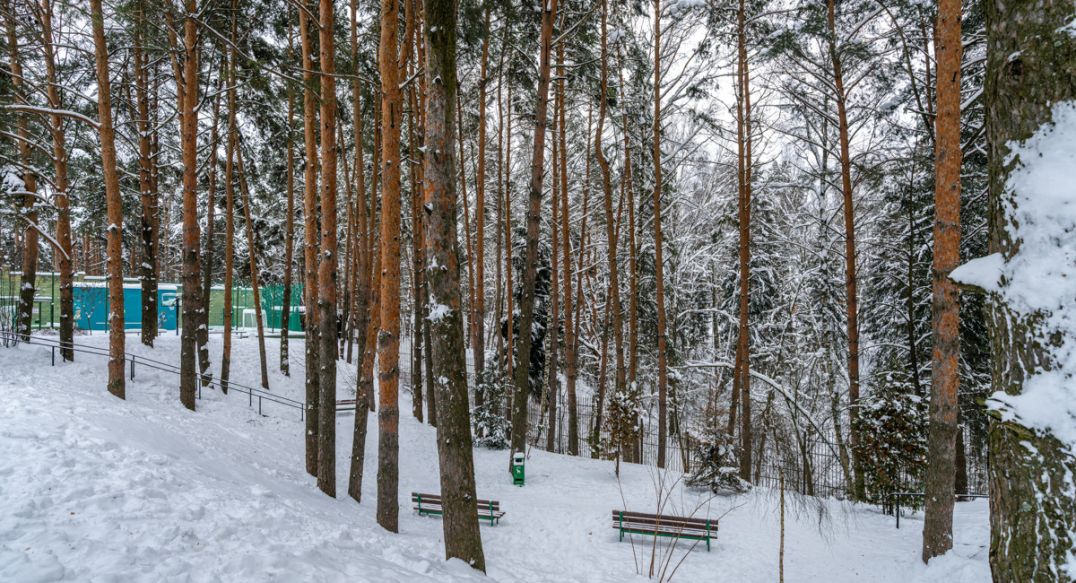 Алексеево Парк