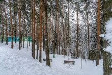 Алексеево Парк