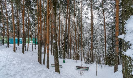 Алексеево Парк