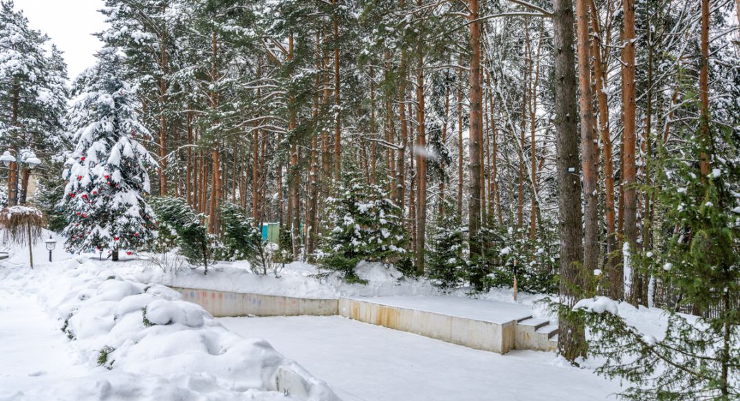 Алексеево Парк
