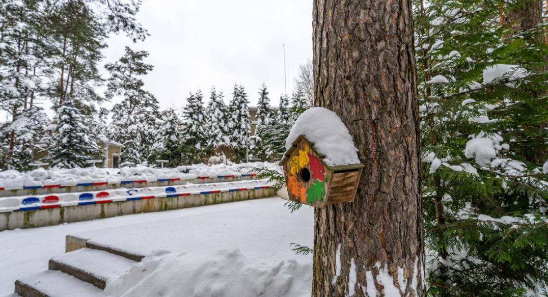 Алексеево Парк