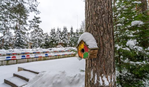 Алексеево Парк