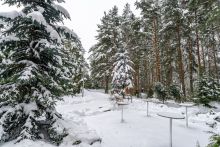 Алексеево Парк