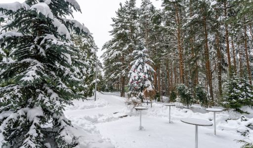 Алексеево Парк