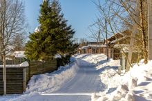 Уютный дом в Лесной сказке