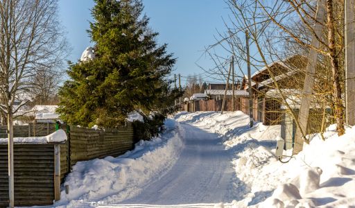 Уютный дом в Лесной сказке